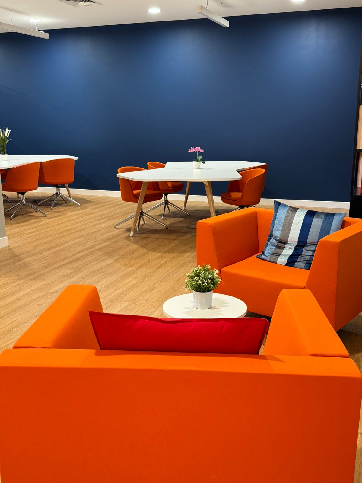 AMAL office - collaboration space